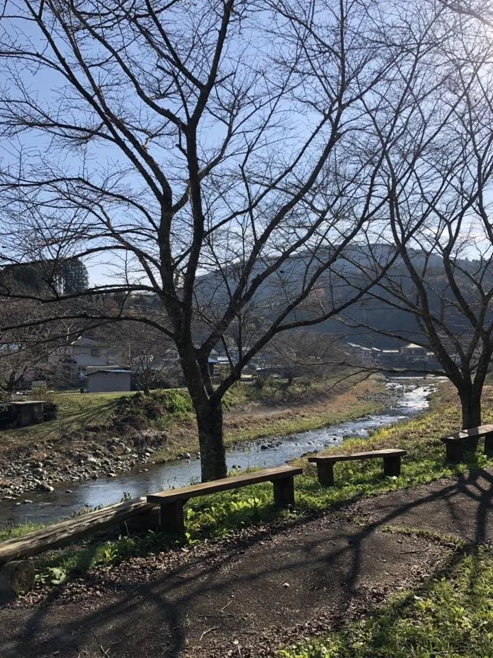 S__89841680.jpg
