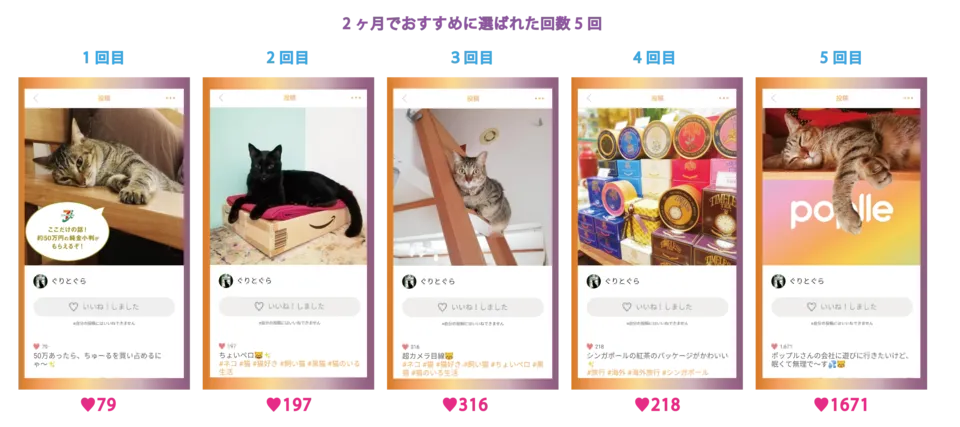 ãããããã«6.png