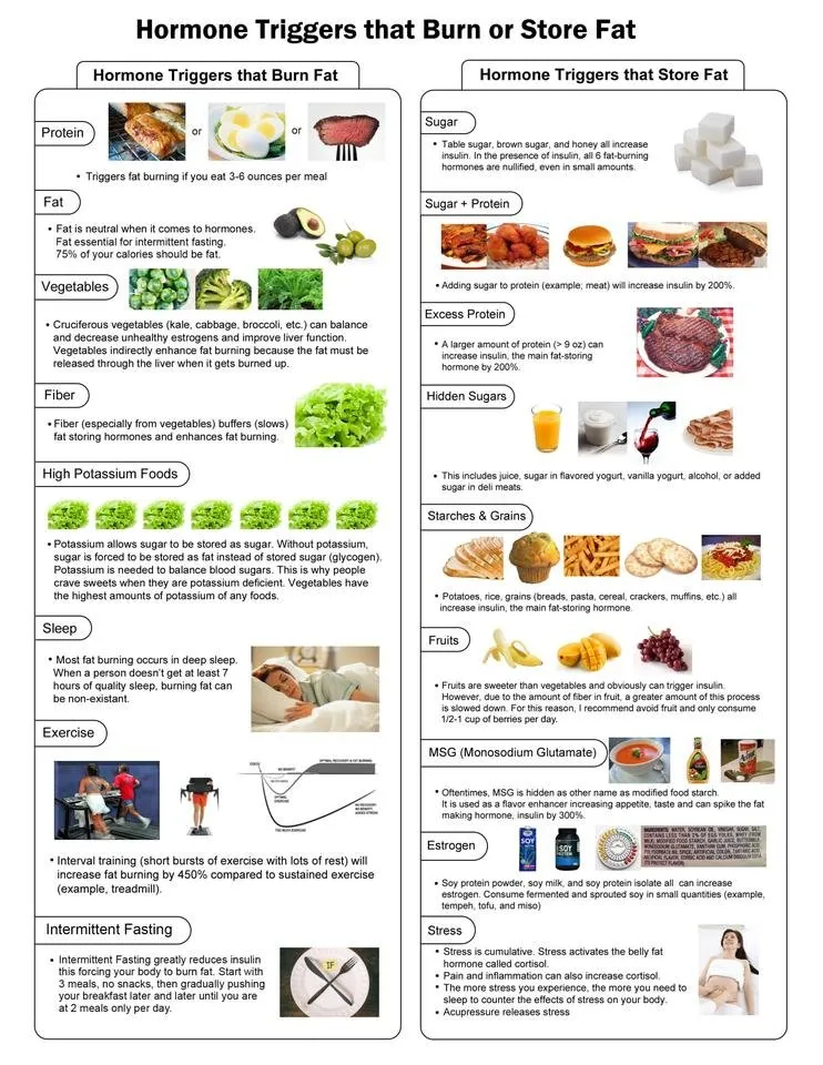 Fat Burning Foods-1 - Copy.jpg