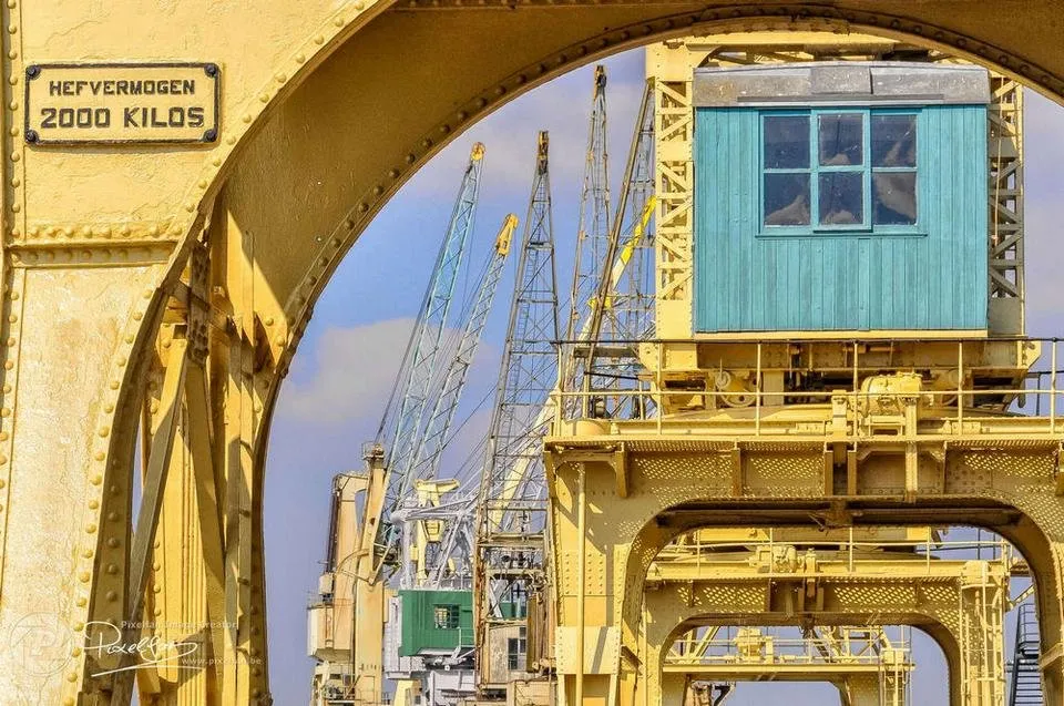 spring_cranes.jpg