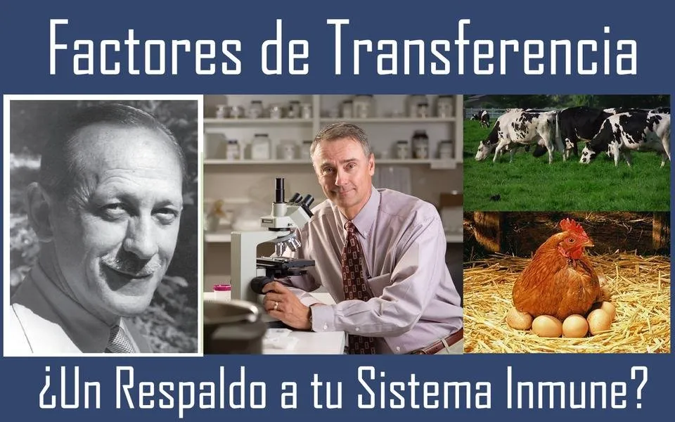factores de transferencia imagen principal.jpg