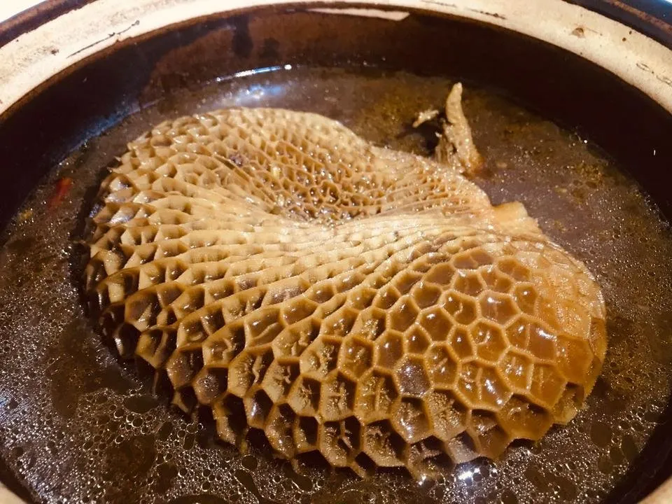 微信图片_20181020192233.jpg