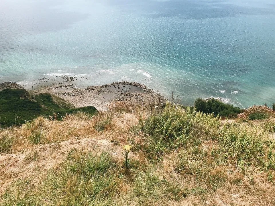 JPEG image-6DCE7F4411E8-13.jpeg