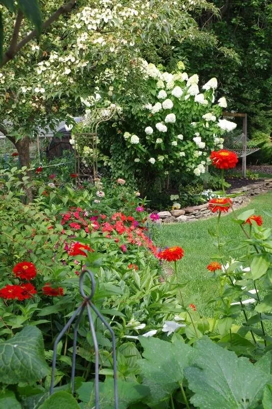 a butterfly garden c.jpg