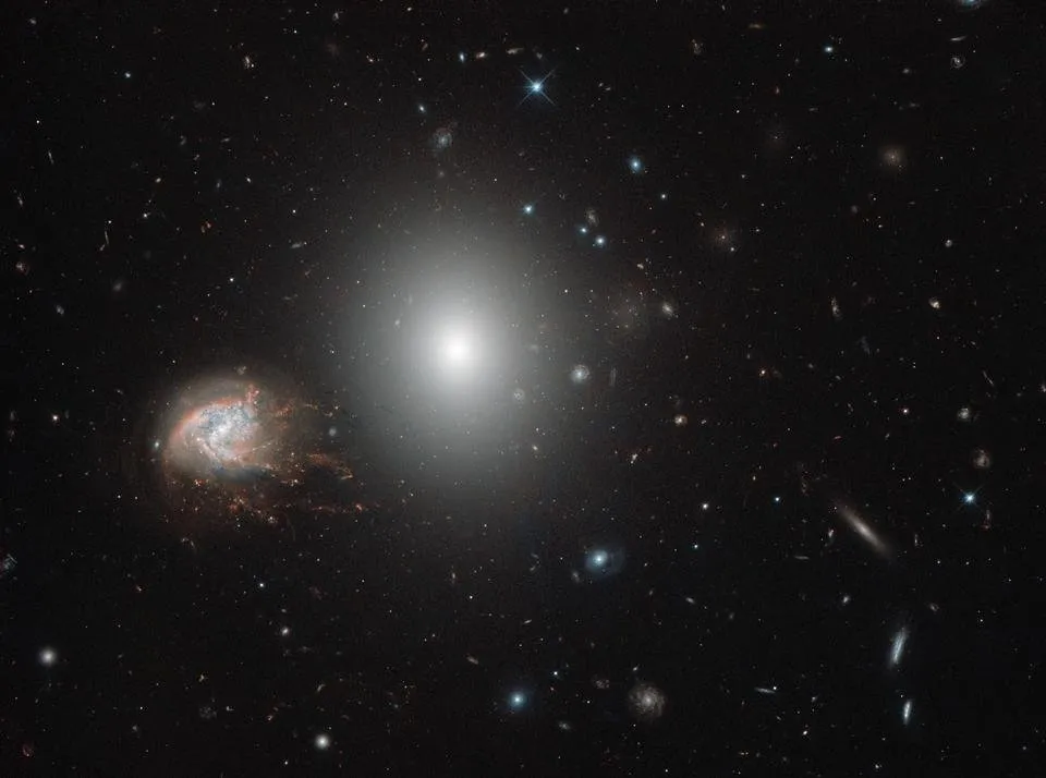 potw1838a.jpg