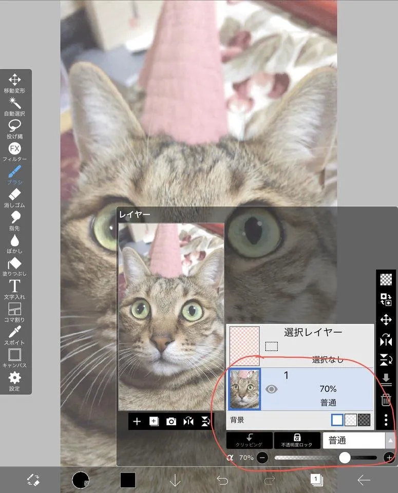 7A2DE350-6FA3-47B6-B109-4505B639E543.jpeg
