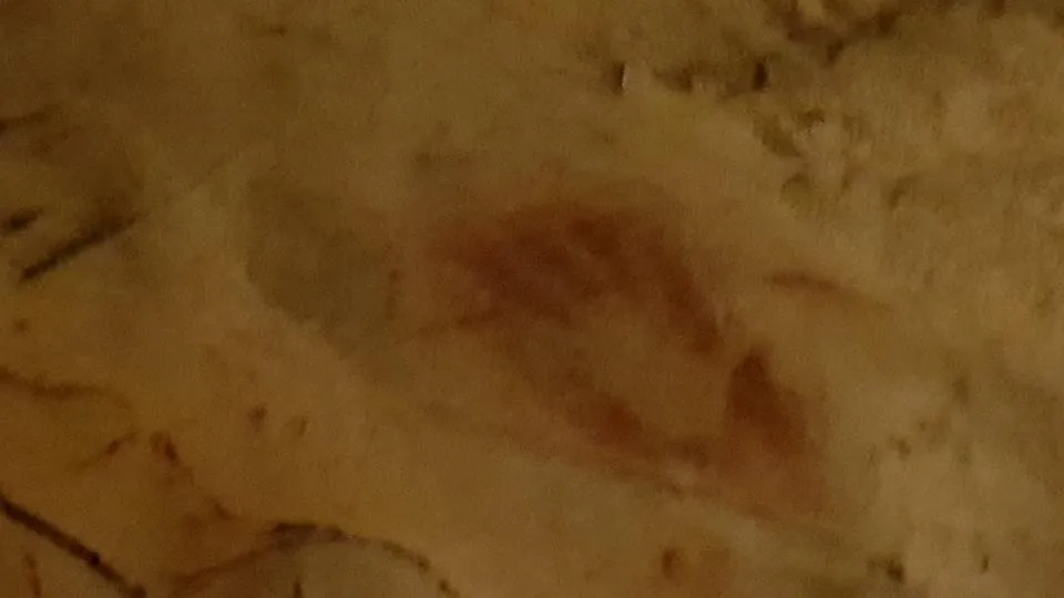 6282018182028.jpg