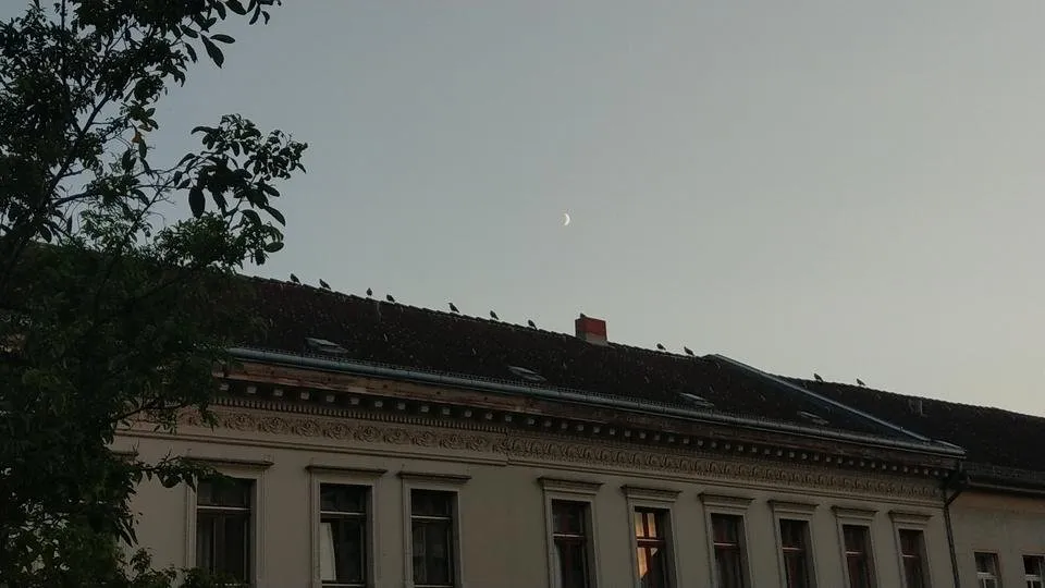 DSC_0125.JPG