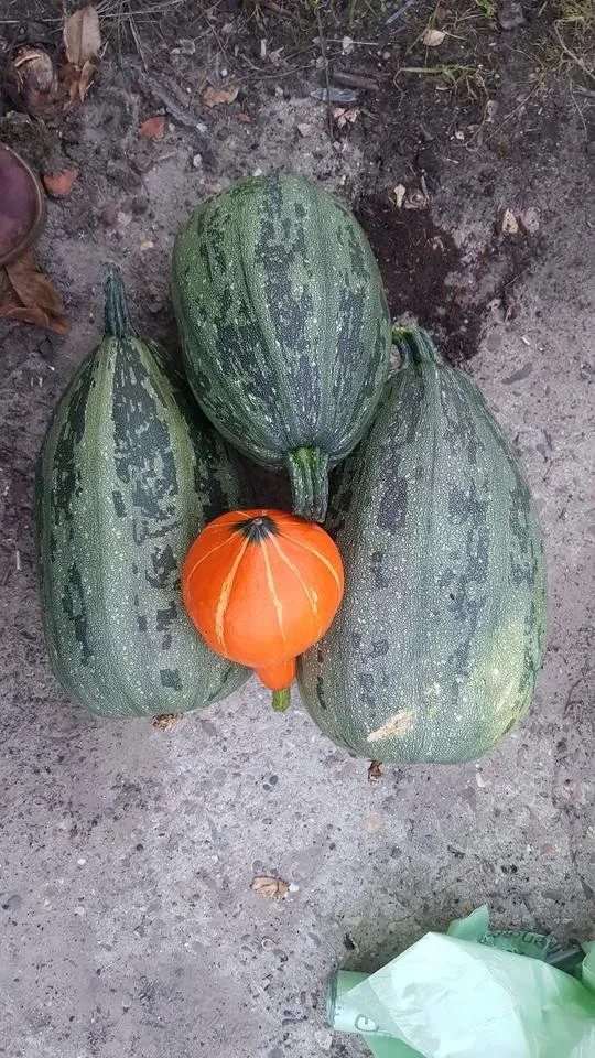 20180930_191304.jpg