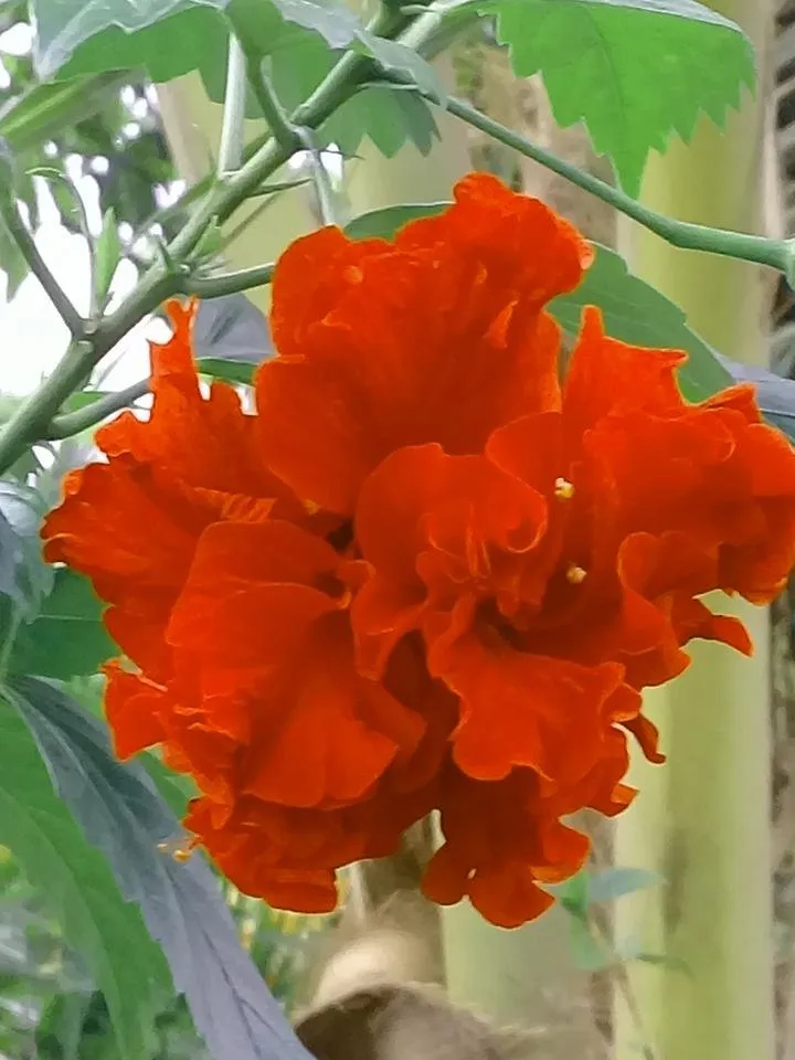 20180810_191802.jpg