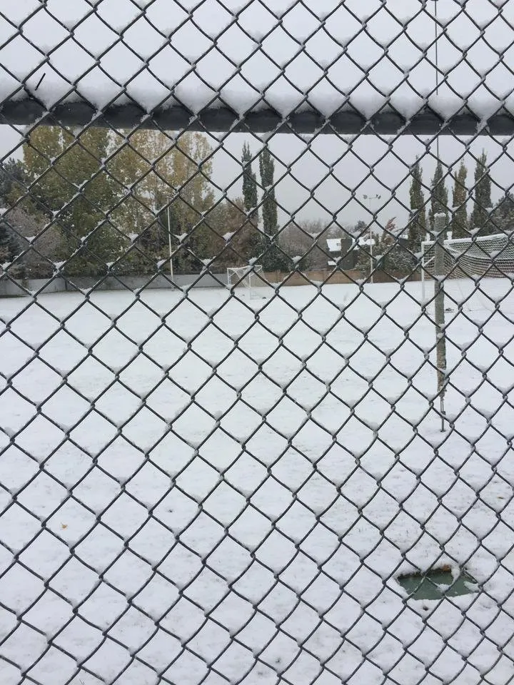 park.jpg