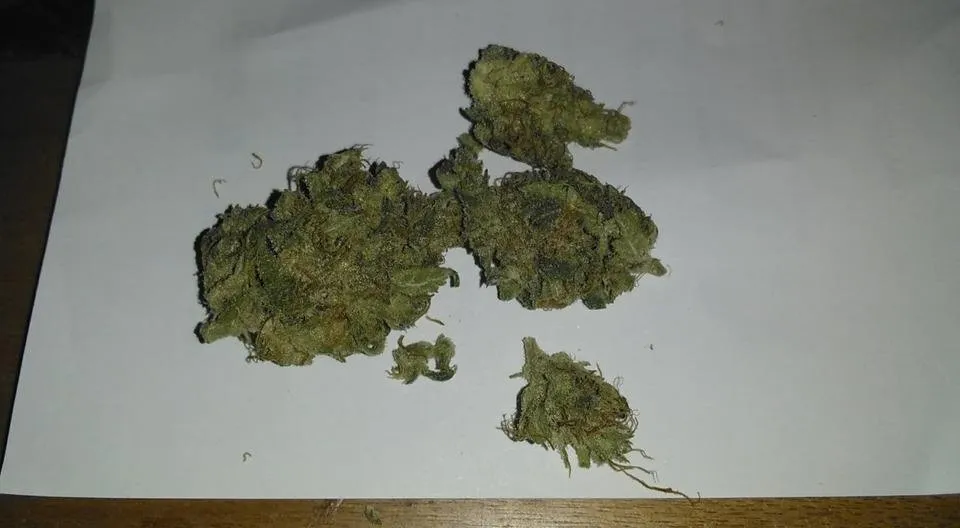 sourhosherkush.jpg