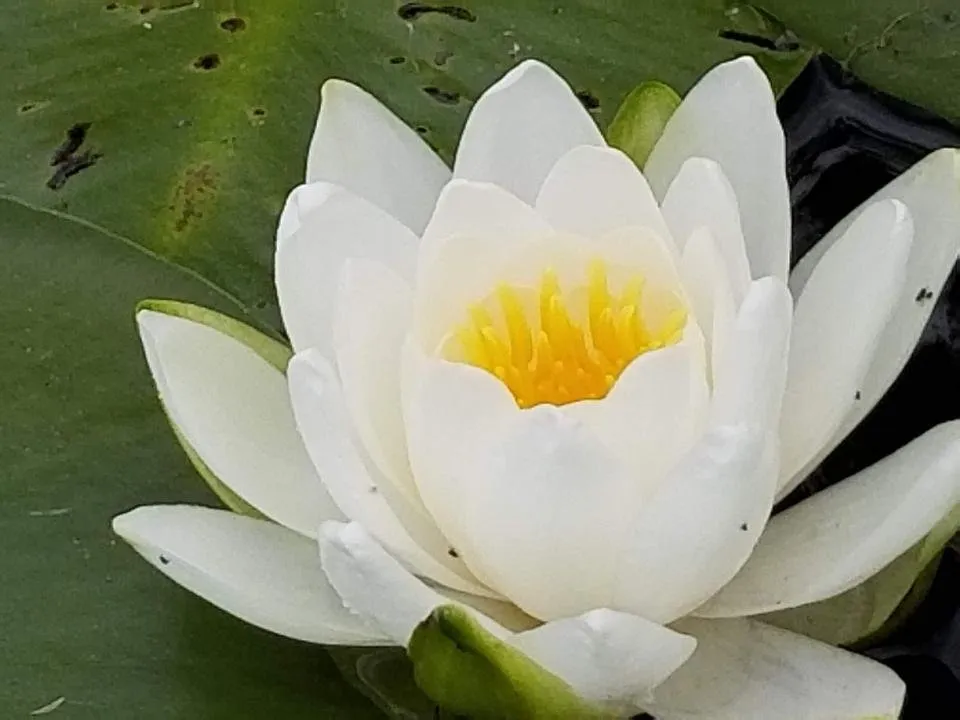 20180928_160009.jpg