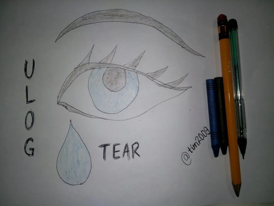 draw 3.jpg