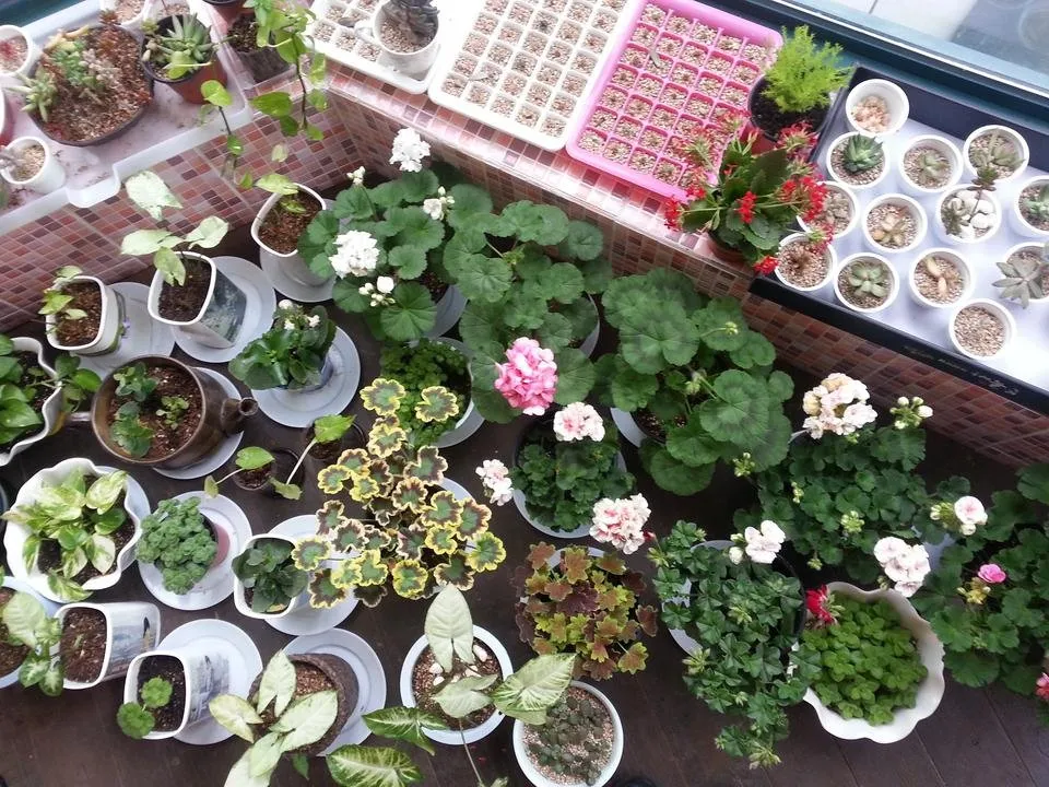 20140413_123038.jpg