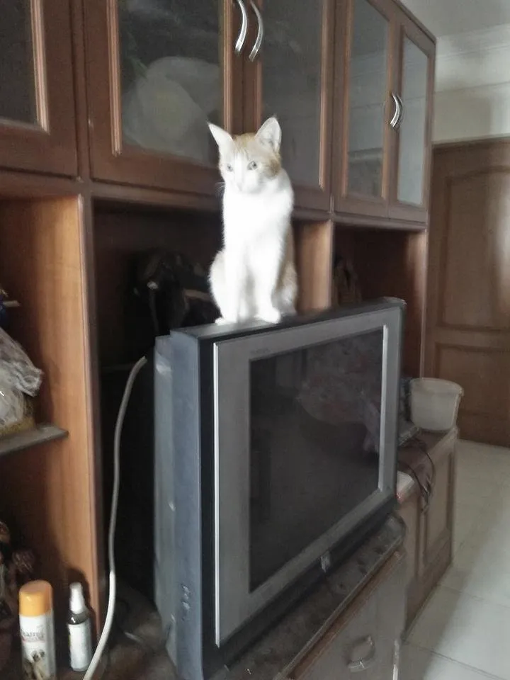 IMG20190802101252.jpg