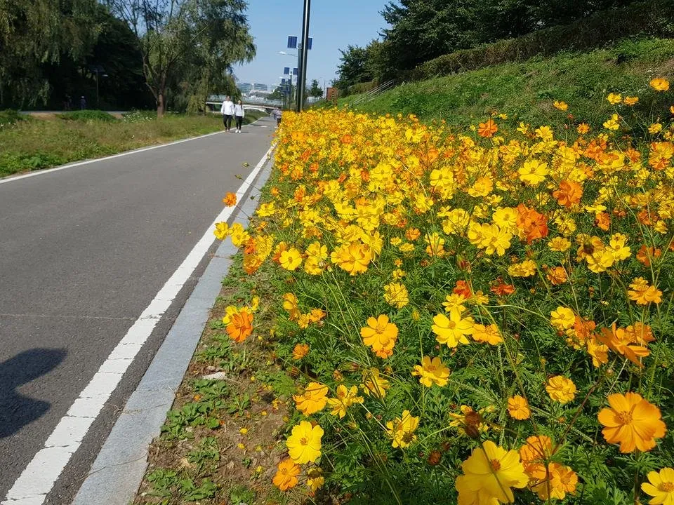 20191014_123608.jpg