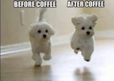 funny-coffee-meme-1.jpg