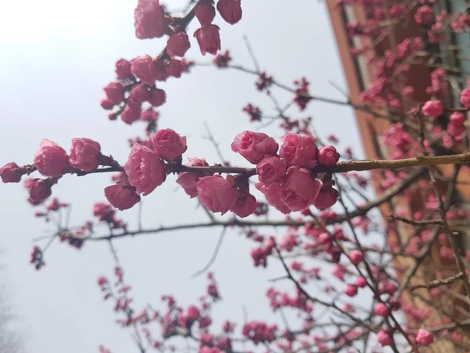 20190407_150433.jpg