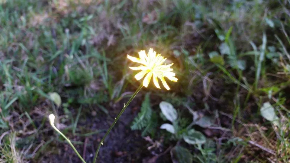 20150817_174144.jpg