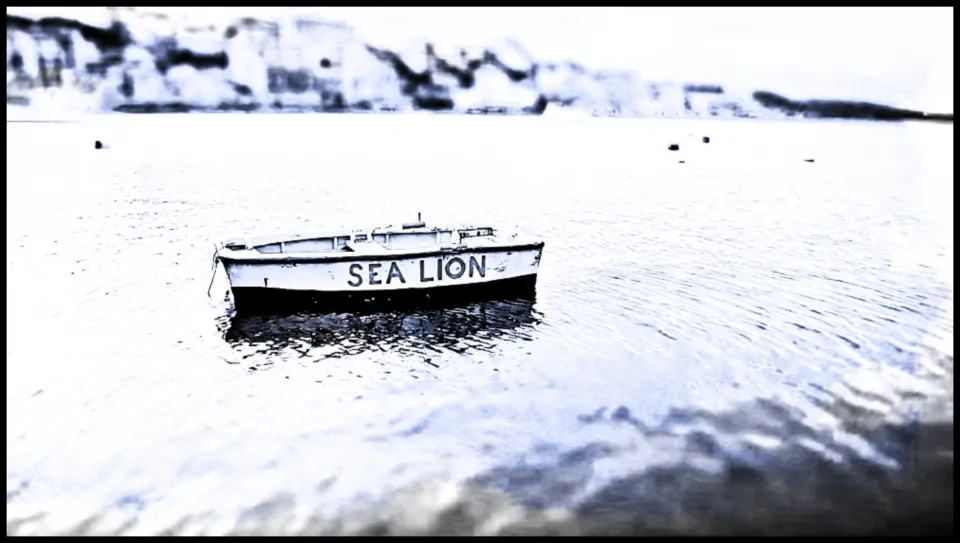 sea-lion-aa.png