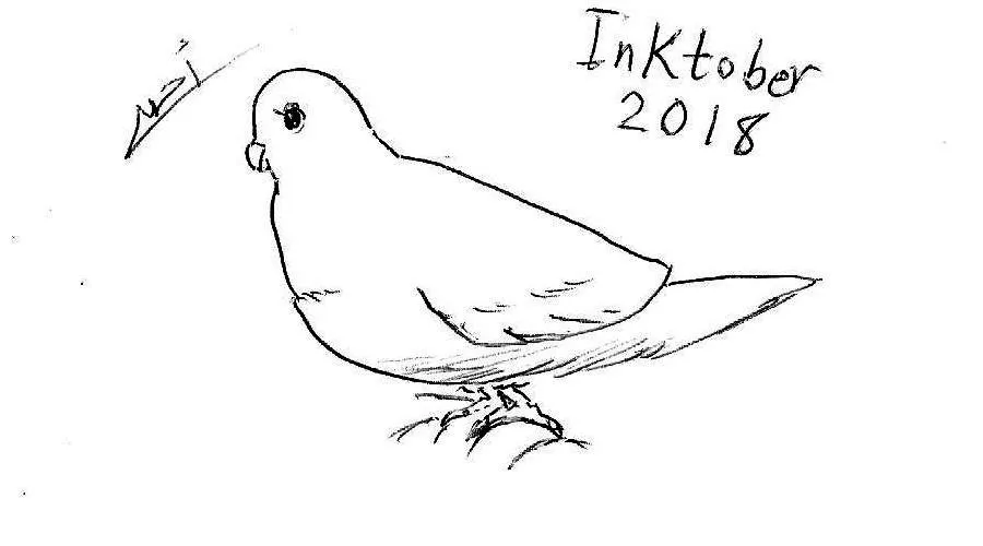 inktober23-Birds00.jpg