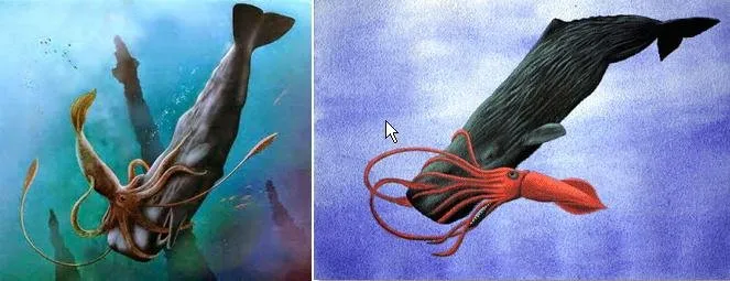 giant_squid-dyatrima.jpg