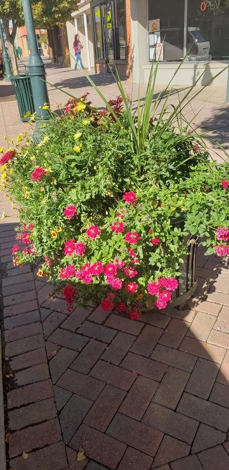 20191002_151927.jpg