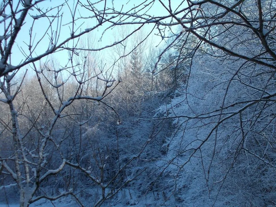 DSCN3170.JPG