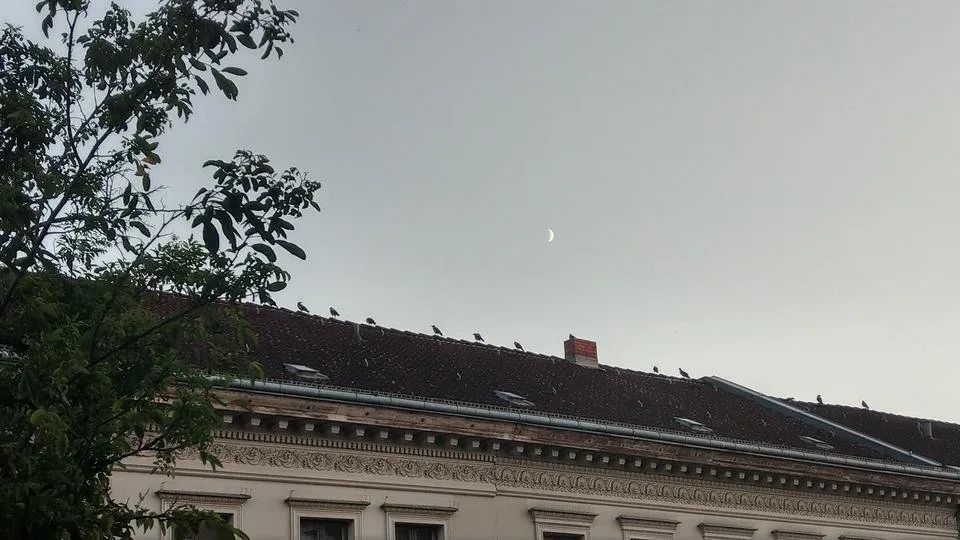 IMAG7013.jpg