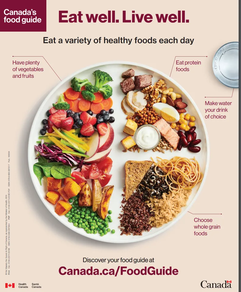Canada Food Guide.png