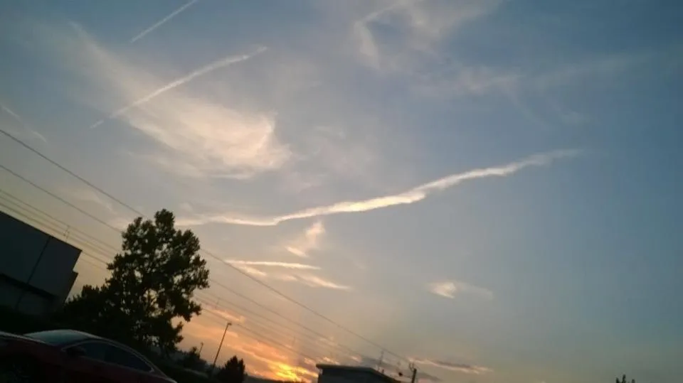 WP_20180822_040.jpg