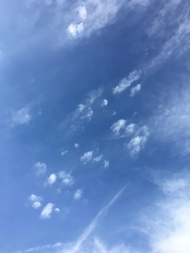 1530715611356.jpg
