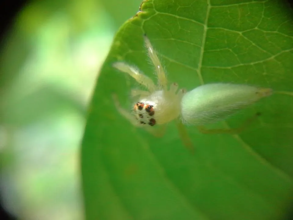 20180608_143721.jpg
