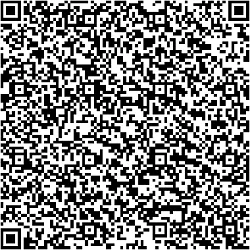 qrcode_big_250x250.png