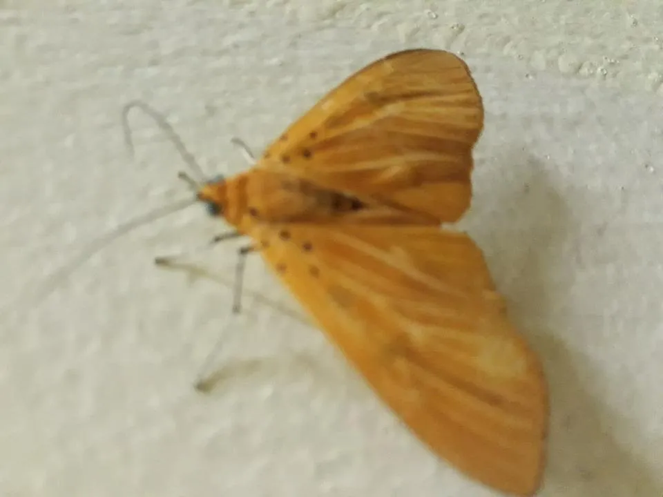 20180514_003409.jpg