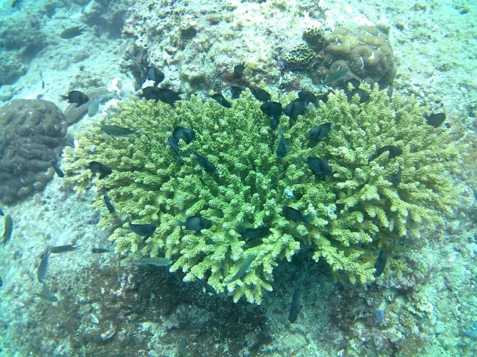20170101_021600A.jpg