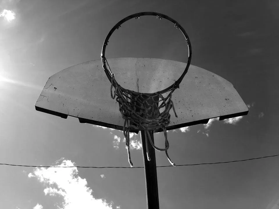 Hoop The Sequel.jpg