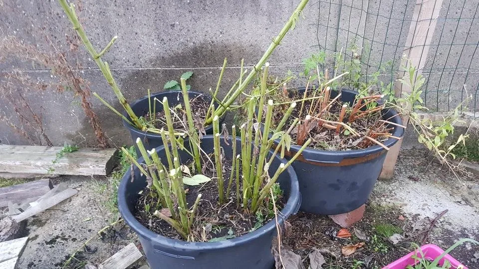 20180930_191202.jpg
