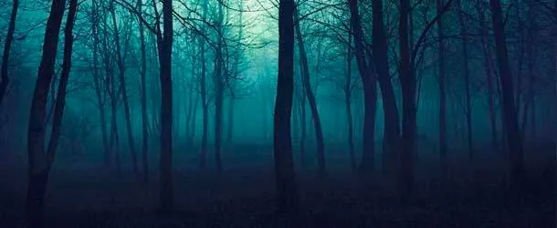 relato. cruzando el bosque.jpg
