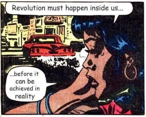 revolution iside.jpg
