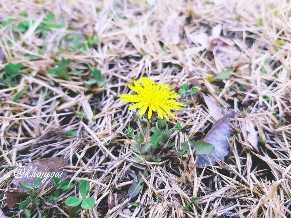 Fotor_155382035827014.jpg