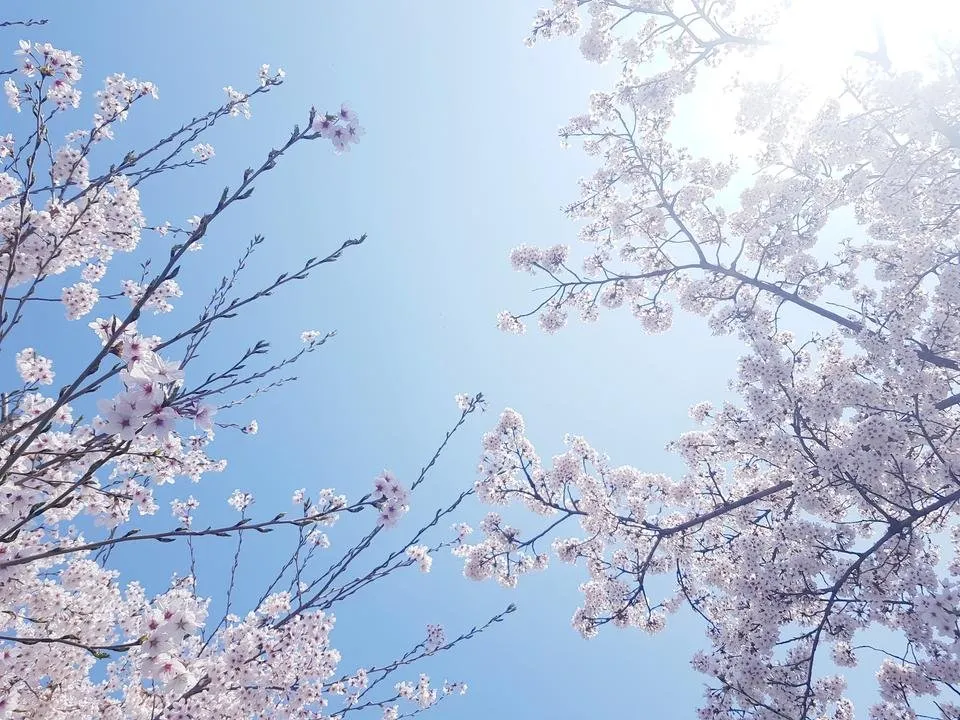 20190413_120710.jpg