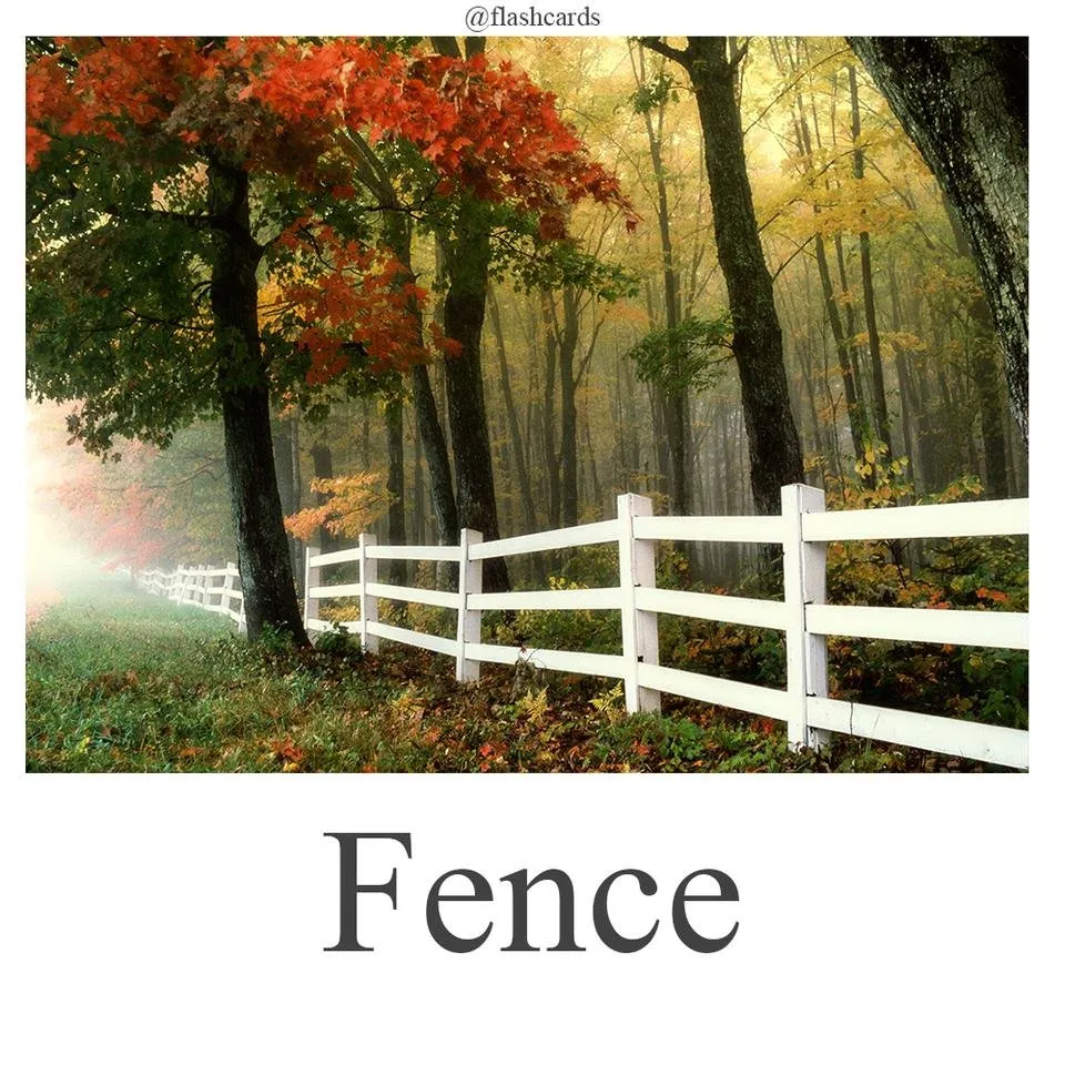 Fence.jpg