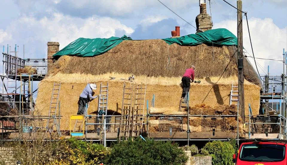 golden thatched roof.jpg