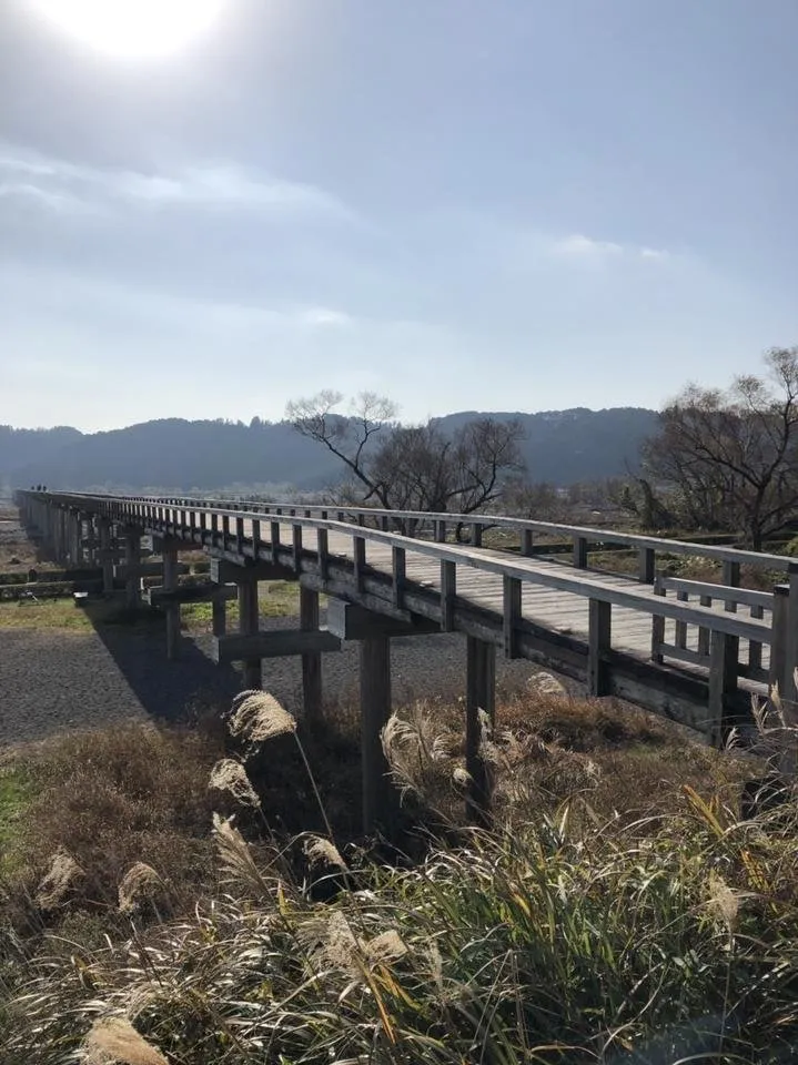 S__89817105.jpg
