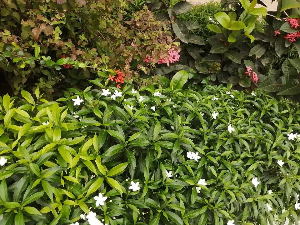 IMG_20190614_105537.jpg