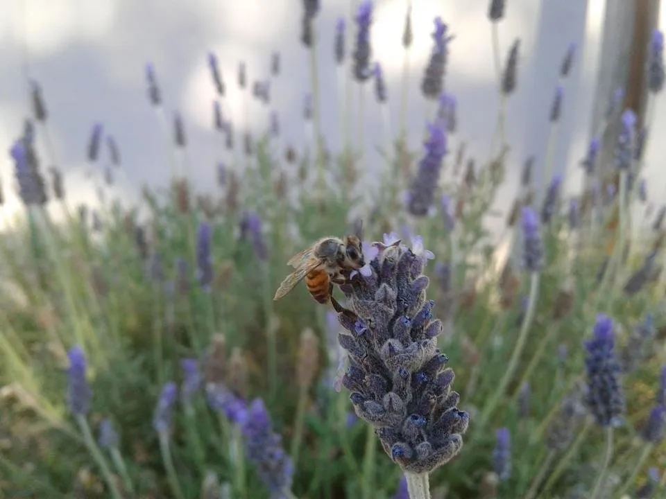 20190716_155623.jpg