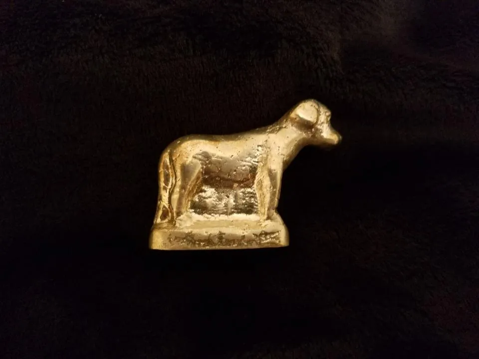 20180529_152417.jpg