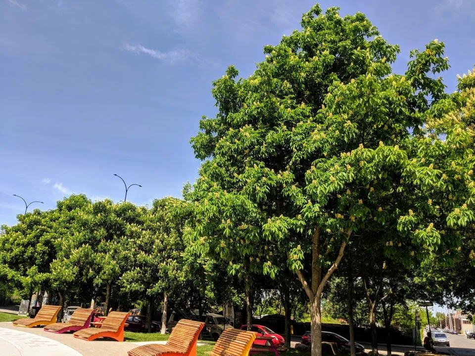 MVIMG_20180525_102644.jpg